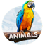Animals Wallpapers for phone