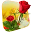 360 Flower live wallpaper 3D 1.0.4