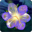 Serene flower clock HD widget 1.4.2