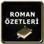 Roman Özetleri