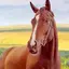Horse Home 1.2.5