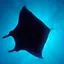 Silhouettes Underwater 2.0