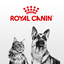 Royal Canin Club (TH) 1.2.2