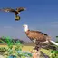 Eagle Simulator Game 3D 1.12