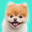 Boo: World's Cutest Dog 1.0