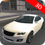 Driving Simulation 3D 1.7