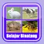 Belajar Membaca Binatang 2.6.8