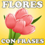 Flores Con Frases 5.2