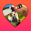 Photo Collage Shape Maker 3.2