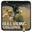 Bull Riding Challenge