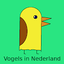 Vogels in Nederland September 2013
