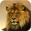 Lion Wallpapers HD 2.0.2