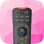 Remote for Polytron TV 2.9