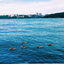 Tashlich Prayer - סדר תשליך 1.2