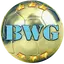 BWG - Betting Tips v13.0