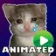 Sad cats sticker. 2.11