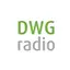 DWG Radio RU 1.0.3