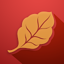 Cigar Scanner 40.6.3
