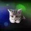 Sleepy Kitten Wallpaper 1.1.1