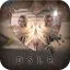 DSLR Camera - Blur Background v3.2