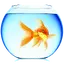 Goldfish Live Wallpaper 1.3