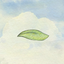 Miss Wind 1.5.9