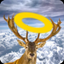 Roadkill Art 2.3.3