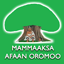 Mammaaksa Afaan Oromoo 3.91