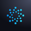 BlackFort Wallet 2.16.0