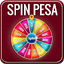 Spin Pesa - Earn Online Money  version7