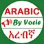 Learn Arabic Amharic By Voice 4.91