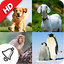 150 Animal Ringtones