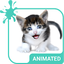Meow Keyboard & Wallpaper 5.15.1