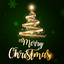 Christmas Photo Card Maker 1.00