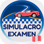 MT simulacro de examen 2024