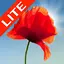 Poppy Field Lite 3.13
