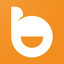 Billink 2.4.298