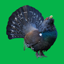 Decoy on forest bird 0.15.30.0131