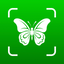 Bug Identifier: Insect Finder