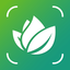 AI Plant Identifier - Leafy 1.1