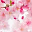 Vivid SakuraTheme +HOME 2.0.20