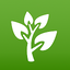 Medicinal Plants & Remedies 1.56.290