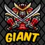 Giantvpn application-1.3