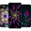 Flower wallpapers for Girls v1.3.3