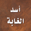 اسد الغابة في معرفة الصحابة 3.1.0