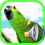 Call Birds