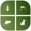 Repellent Pro - All in One for Dog Mosquito Insect 1.0