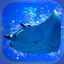 Aquarium Manta Simulation Game 1.1.3