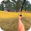 Archery Shooting Quest 1.0