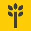 thinkfield - creative mind map 0.7.7